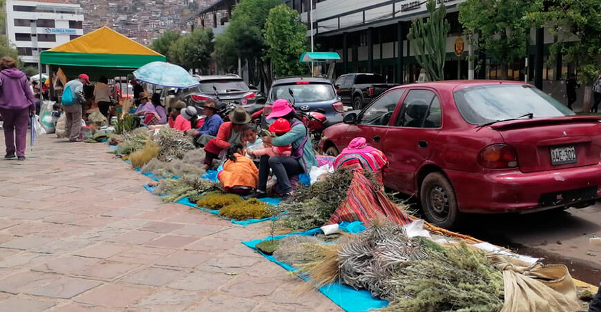 Serfor exhorta a evitar el musgo y proteger los ecosistemas en fiestas navideñas