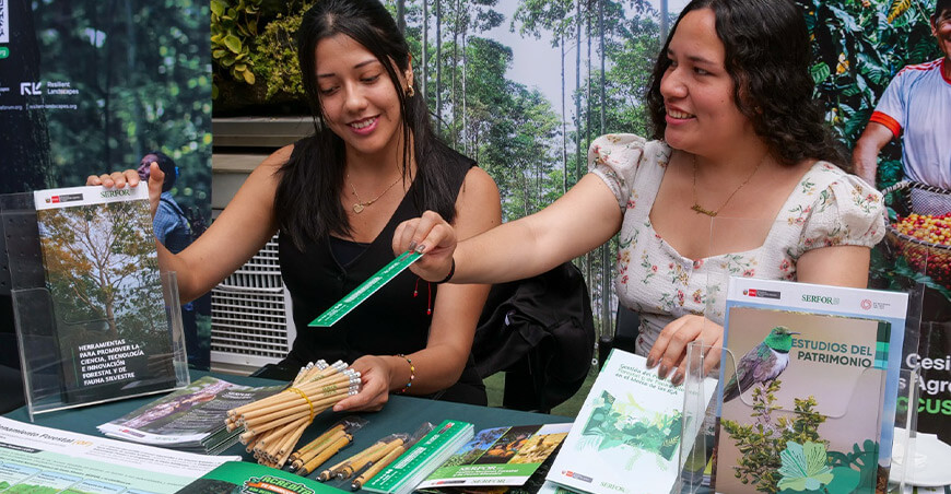 Serfor impulsa políticas para fortalecer las plantaciones forestales comerciales y los sistemas agroforestales