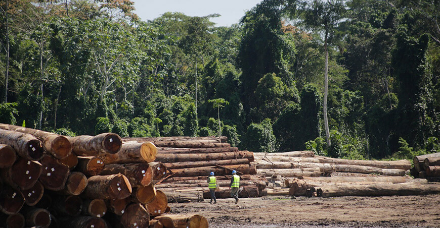 Serfor registró más de 2 millones de metros cúbicos de productos forestales en lo que va del año