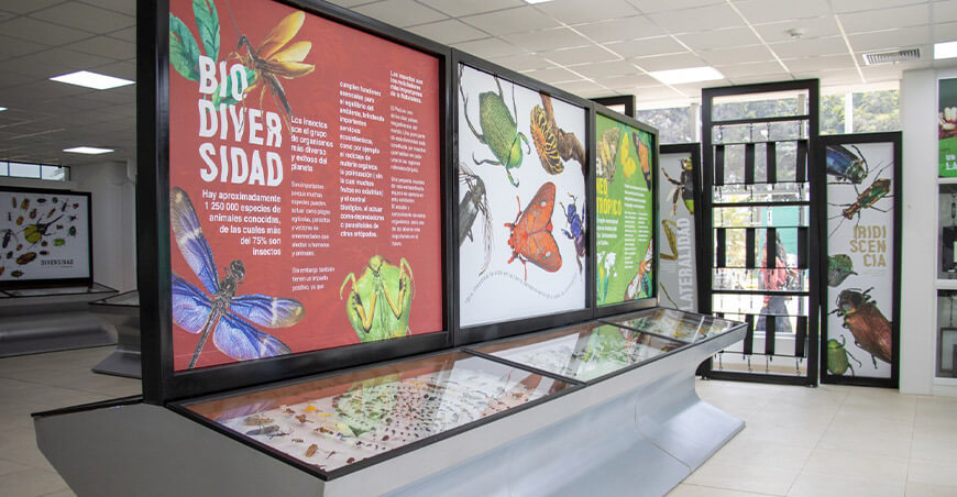 UNALM inauguró el primer Museo de Entomología del Perú