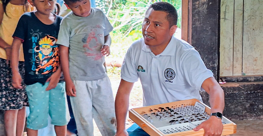 Investigación destaca el valor del conocimiento Awajún en la producción sostenible de cacao nativo