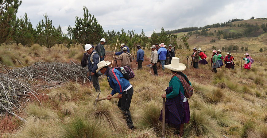 Inician construcción de zanjas de infiltración para asegurar mayor disponibilidad de agua qocha Agua Negra Cumbico Cajamarca