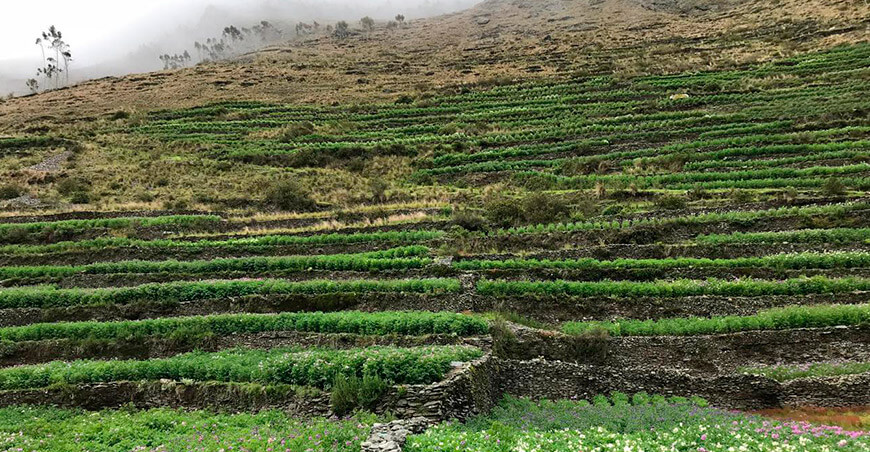 Zonas de agrobiodiversidad de Cusco y Puno INIA Perú