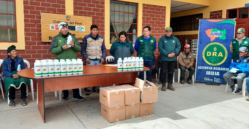 Pobladores de Jauja recibieron abonos para siembras de papas y habas Junín
