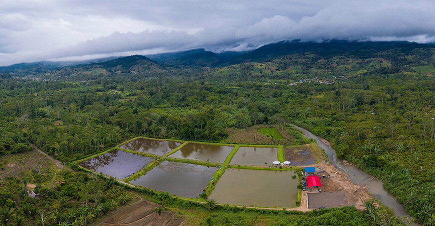 Acuicultura impulsa la seguridad alimentaria y el desarrollo sostenible de familias del Vraem Devida Perú
