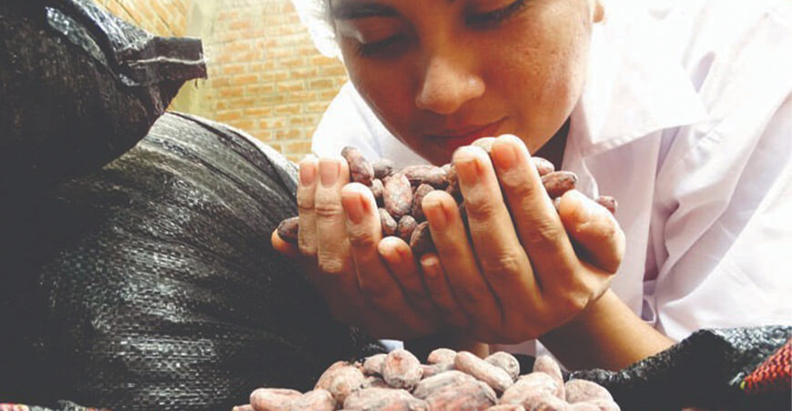 calidad de cacao grano Perú