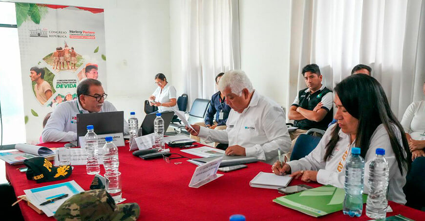 Desarrollo alternativo de Devida beneficia a 8668 familias en Huánuco