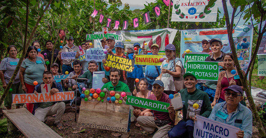 Cacao del Alto Huallaga alcanza sostenibilidad productiva de 850 kg/ha con asistencia de Devida Huánuco Perú