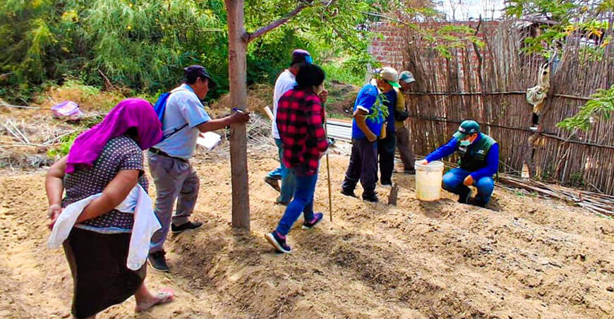 Fortalecieron capacidades productivas de más de 500 personas en Cura Mori Piura Perú