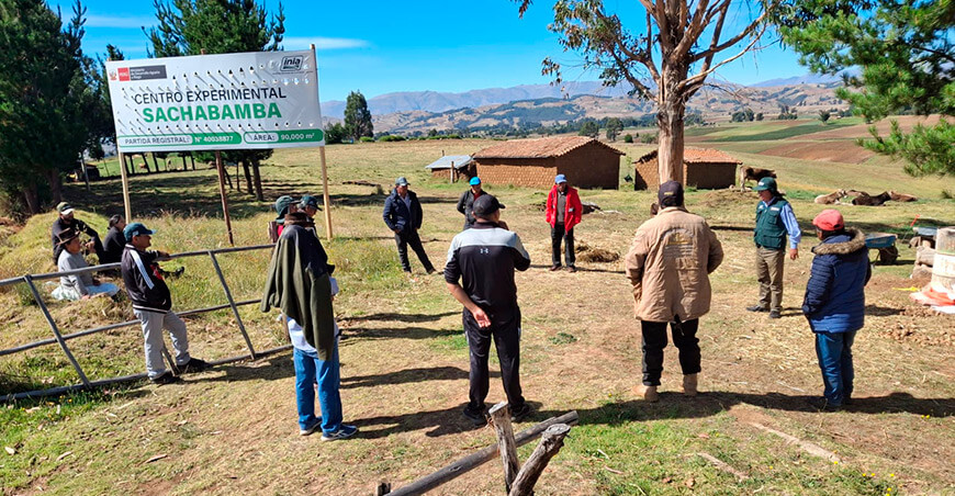 INIA pone en funcionamiento el Centro Experimental Sachabamba para impulsar la producción agraria Ayacucho Perú
