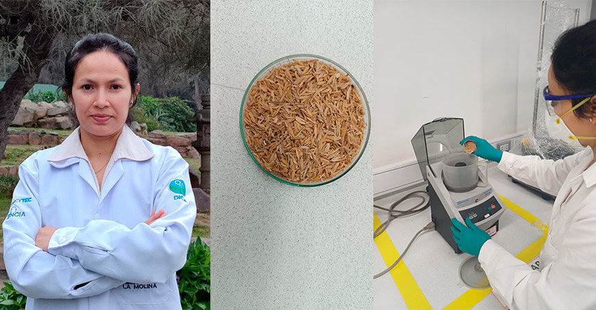 Investigadora transforma cascarilla de arroz en biochar para el tratamiento de aguas residuales mineras UNALM