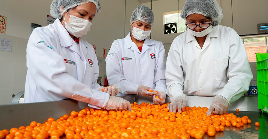 ITP servicios agroindustria aguaymanto valor agregado