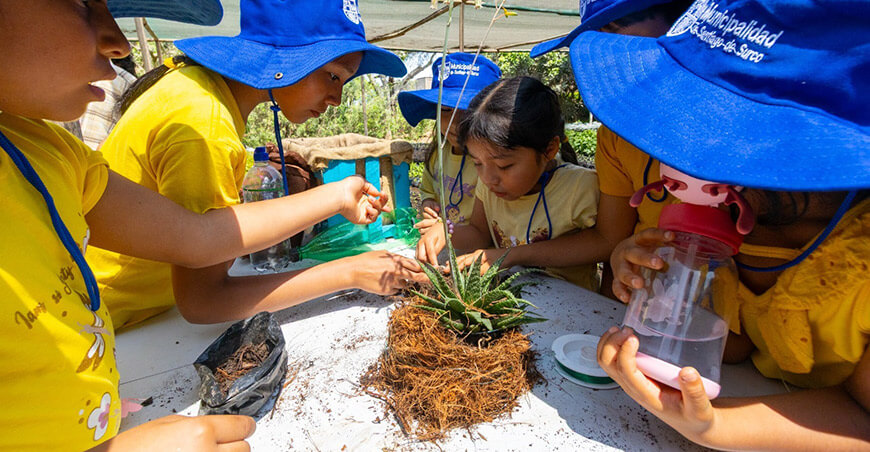 Municipalidad de Surco ofrece talleres gratuitos de jardinería y compostaje para niños durante las vacaciones Lima Perú