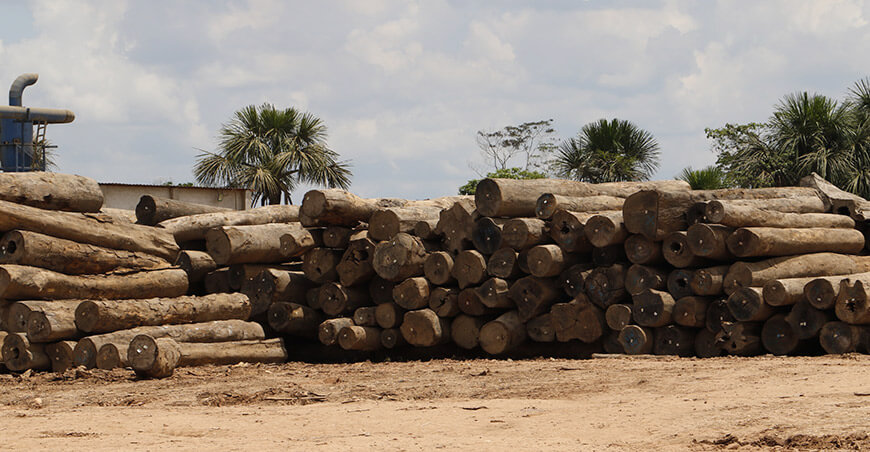 Osinfor acreditó el origen legal madera Perú