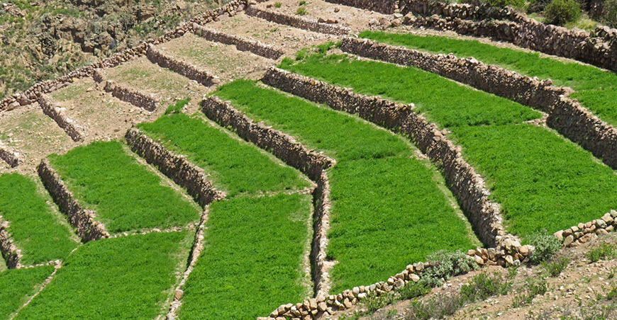 andenes ancestrales Perú