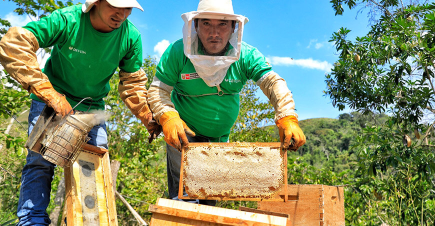 Apicultura productores apícolas producción miel Vraem Devida Perú