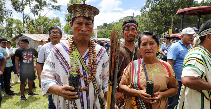 Sembrarán un millón de plantones forestales en Satipo y Chanchamayo Junín Perú