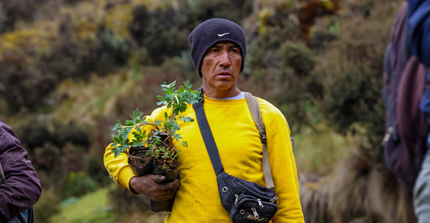 Proyectan instalar un millón de plantones nativos en Huanta Ayacucho Perú