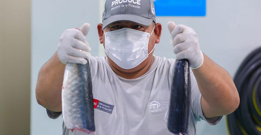 Produce fortalece la cadena pesquera y acuícola con tecnología y control sanitario Callo Perú