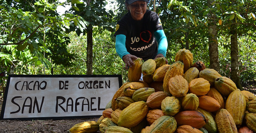 productora de cacao Perú