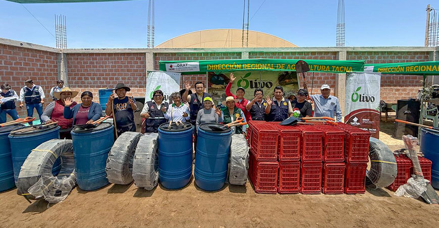 productores beneficiarios proyecto Olivo Tacna Perú