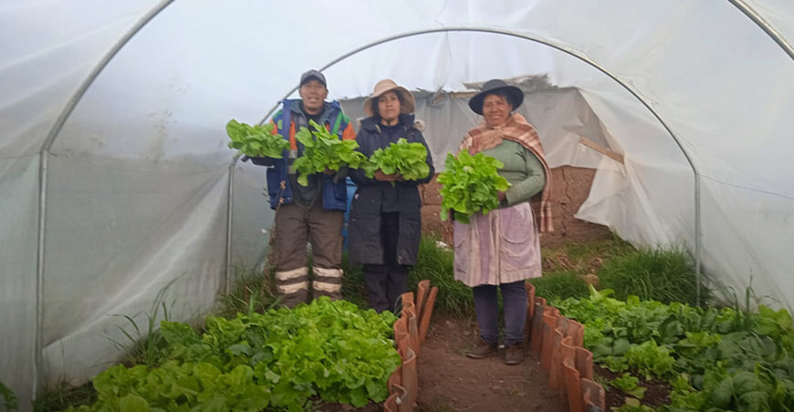 Proyecto Agricultura Familiar Huancavelica Perú