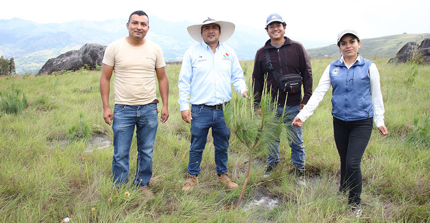 Proyectan la instalación de 3.5 millones de plantones forestales en la provincia de San Ignacio Cajamarca Perú