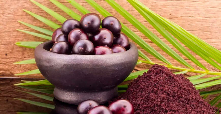 UNTRM participa en estudio internacional que convierte residuos de açaí en bioproductos para la salud y la industria