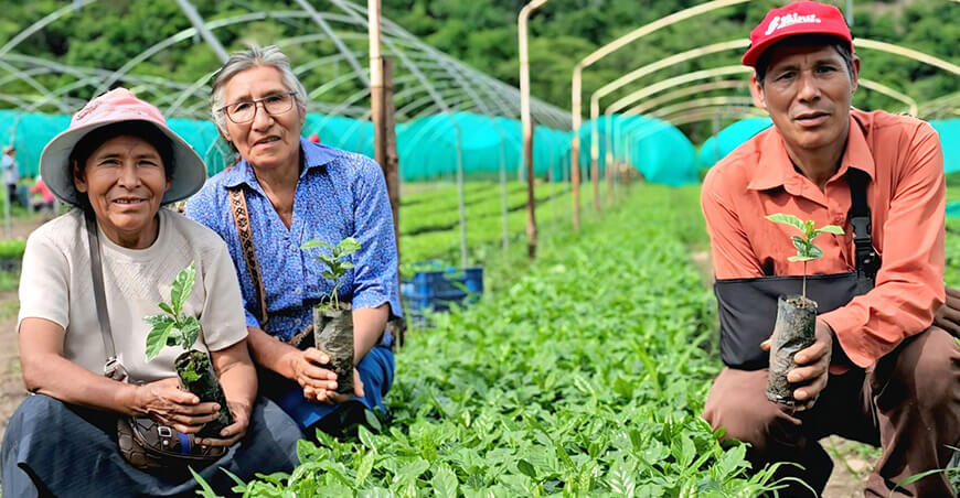 Reinician proyecto Café que beneficiará a 4850 productores Cusco Perú