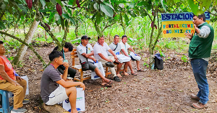 Fortalecen capacidades de 2400 productores de cacao en Leoncio Prado Huánuco Perú