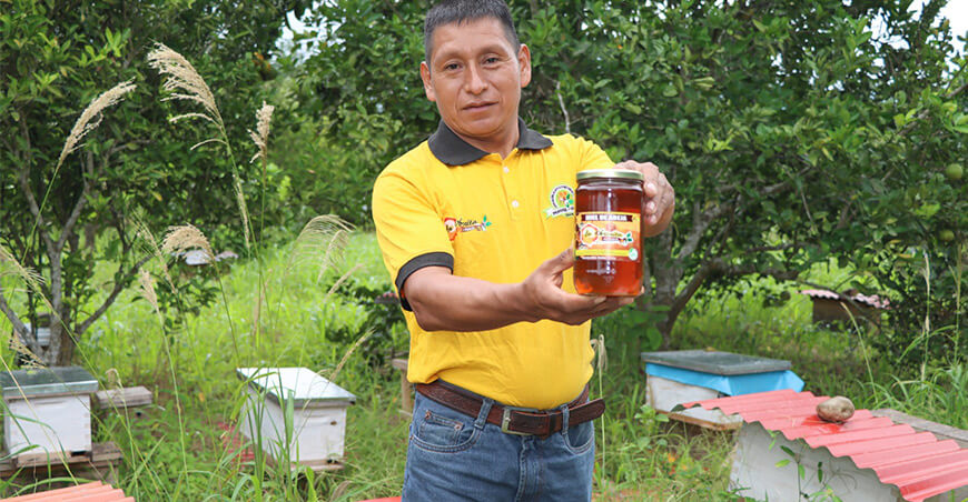Fortalecen la apicultura en el Vraem como medio de ingresos sostenible y de conservación de ecosistemas  Devida Perú apicultores apícolas 