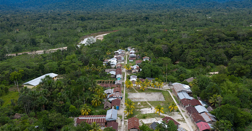 financiar bionegocios que contribuyan a conservar la Amazonía peruana Profonanpe Perú