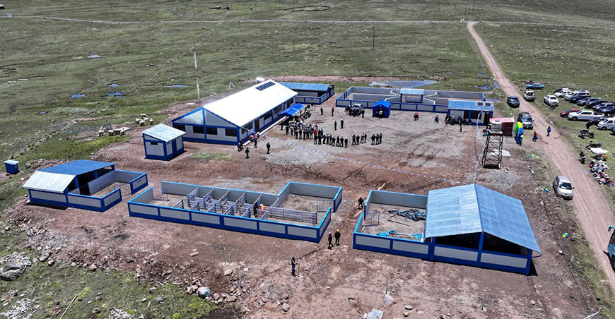 Entregaron el último módulo de producción de reproductores de alpaca en Ocuvirí Puno Perú