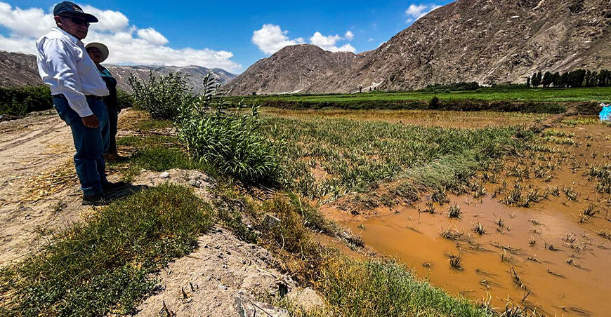 Crecida del río Quilca afecta cultivos y activan acciones de reforzamiento en Camaná Arequipa Perú