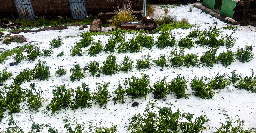 heladas granizadas cultivos Senamhi