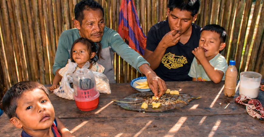Estudian alimentos tradicionales indígenas para mejorar la salud en comunidades amazónicas IIAP Perú