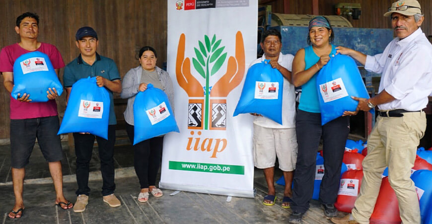 IIAP impulsa la acuicultura en Ucayali con la entrega de 20 millares de alevinos de paco