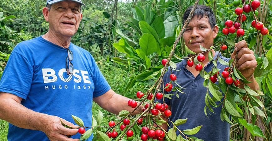 IIAP productor camu camu Loreto Ucayali Perú
