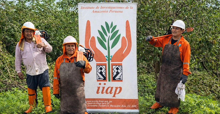 Promueven el procesamiento de camu camu para elevar su precio y evitar pérdidas Ucayali IIAP Perú