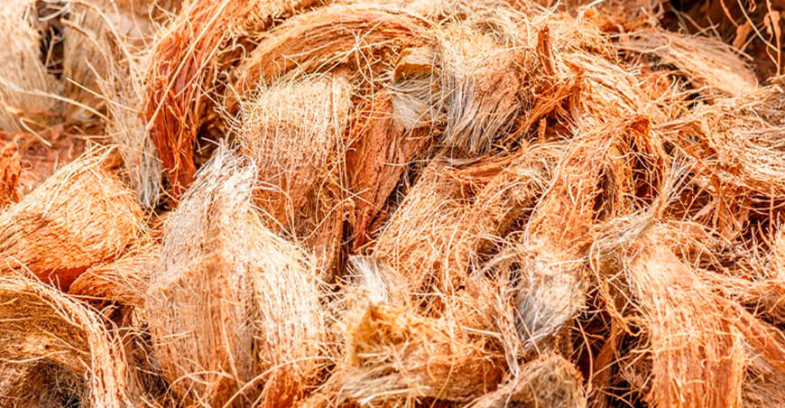importación fibra de coco
