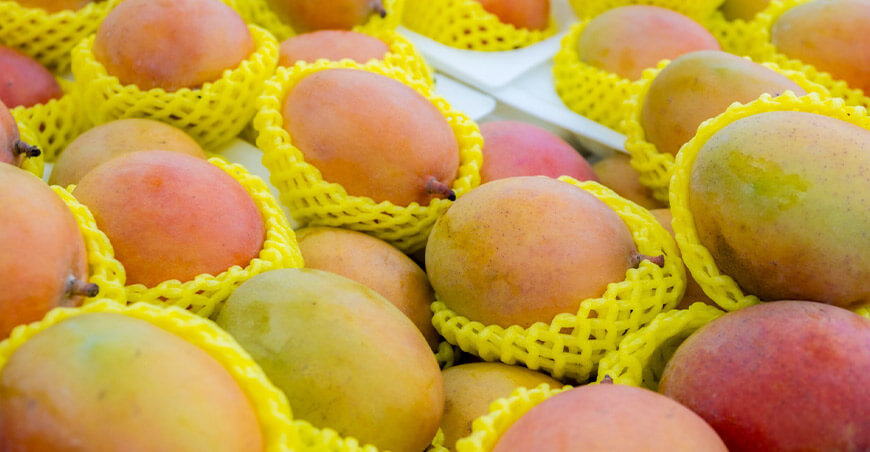 industria mango