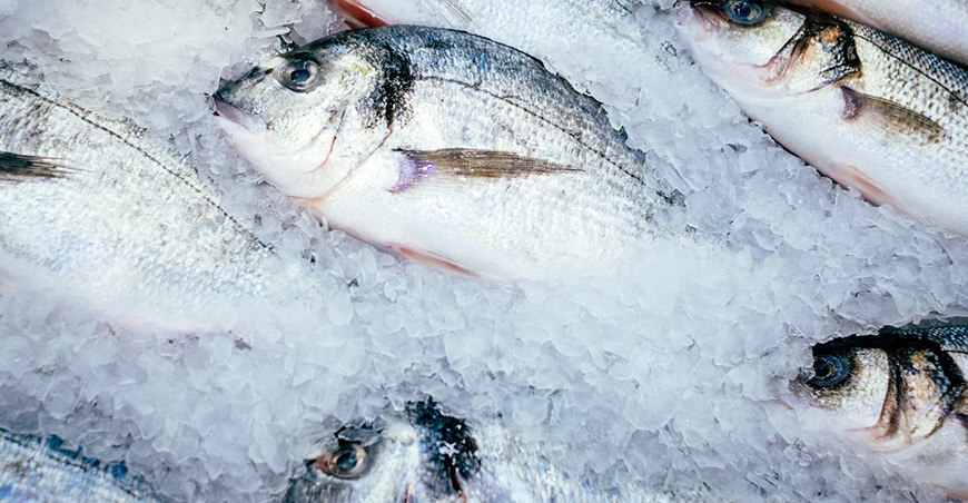 Sanipes refuerza recomendaciones para la compra segura de pescado ante el mayor consumo en verano Perú