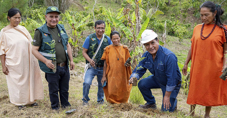 Programa de reforestación contempla la instalación de 500 000 plantones en Satipo Junín Perú