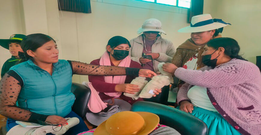 Artesanos textiles de Zepita aprendieron sobre el proceso de categorización y clasificación de la fibra de alpaca Puno Perú ITP