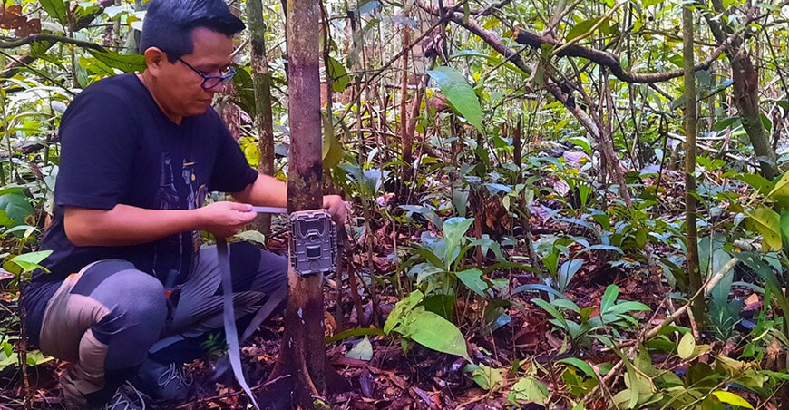 Minería no metálica ha afectado más de 8000 hectáreas de bosques de varillales en Loreto IIAP Perú