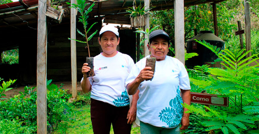 Minam impulsa hoja de ruta para la aprobación de la Estrategia Nacional de Bioeconomía Perú 