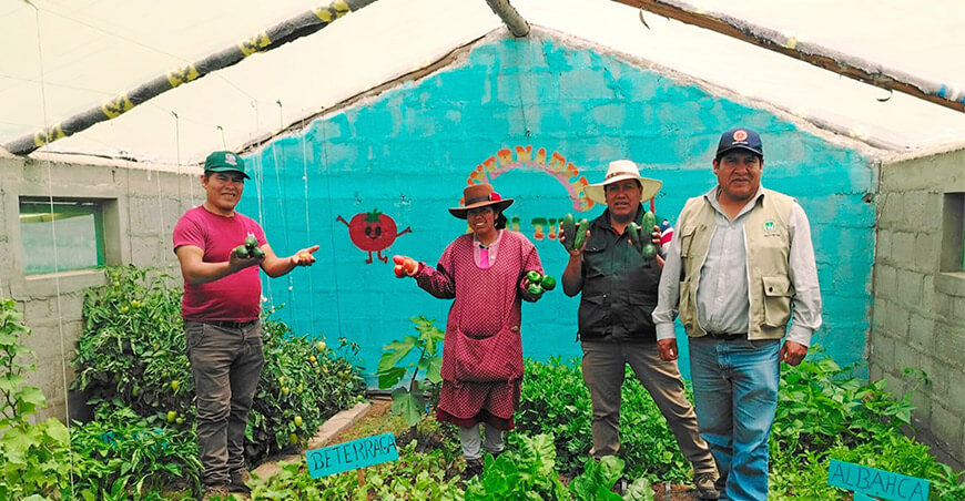 Módulos de hortalizas y crianza de animales menores fortalecen la seguridad alimentaria Puno Perú 