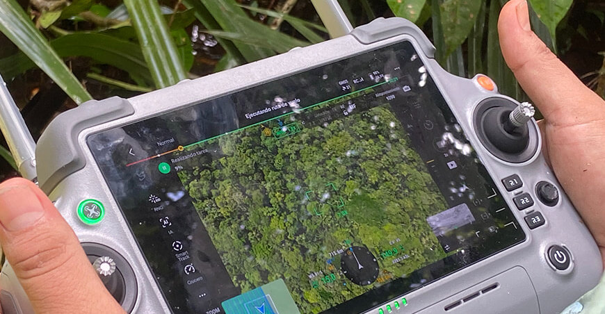 IA y drones permiten identificar palmeras de aguaje en área de manejo sostenible en Loreto Perú Osinfor