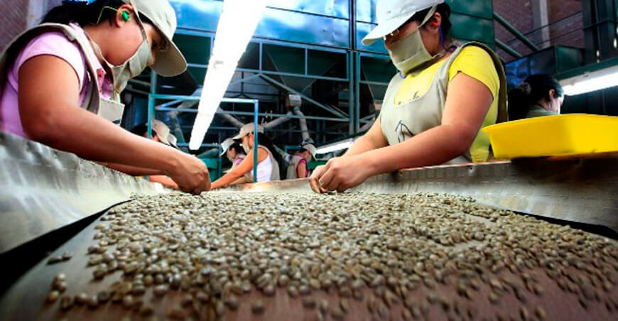 Perú exportación de café peruano