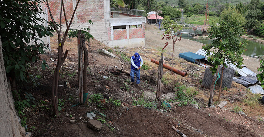Implementan vivero en Suyo para producir 6000 plantones forestales de especies nativas Piura Perú